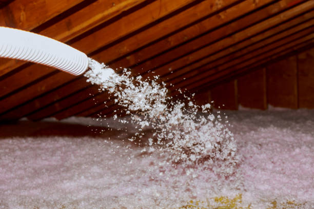 Best Blown-in Insulation in Sun City Center, FL