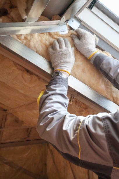 Best Cellulose Insulation in Sun City Center, FL