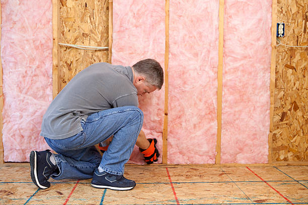 Best Commercial Insulation in Sun City Center, FL