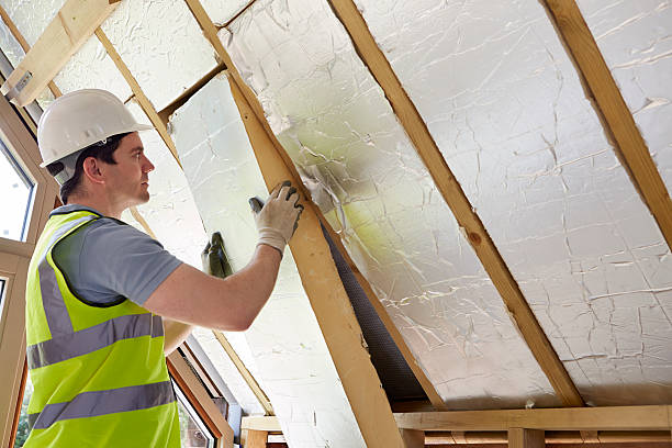 Best Blown-in Insulation in Sun City Center, FL