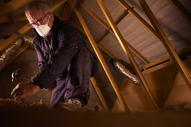 Best Commercial Insulation in Sun City Center, FL
